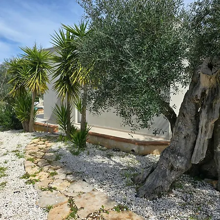 Lidia - Piscina E Jacuzzi Vicino Polignano A Mare Villa