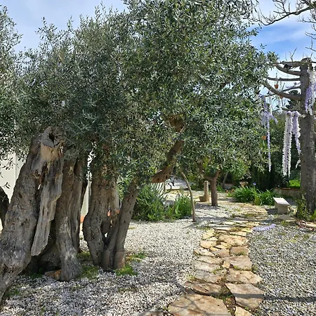 Lidia - Piscina E Jacuzzi Vicino Polignano A Mare Villa Castellana Grotte